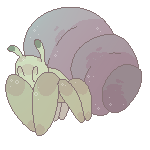 Hermit Crab Friend